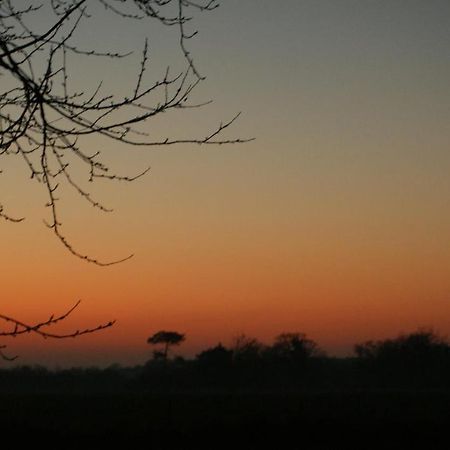 Gite Le Coucher De Soleil Plessé Εξωτερικό φωτογραφία